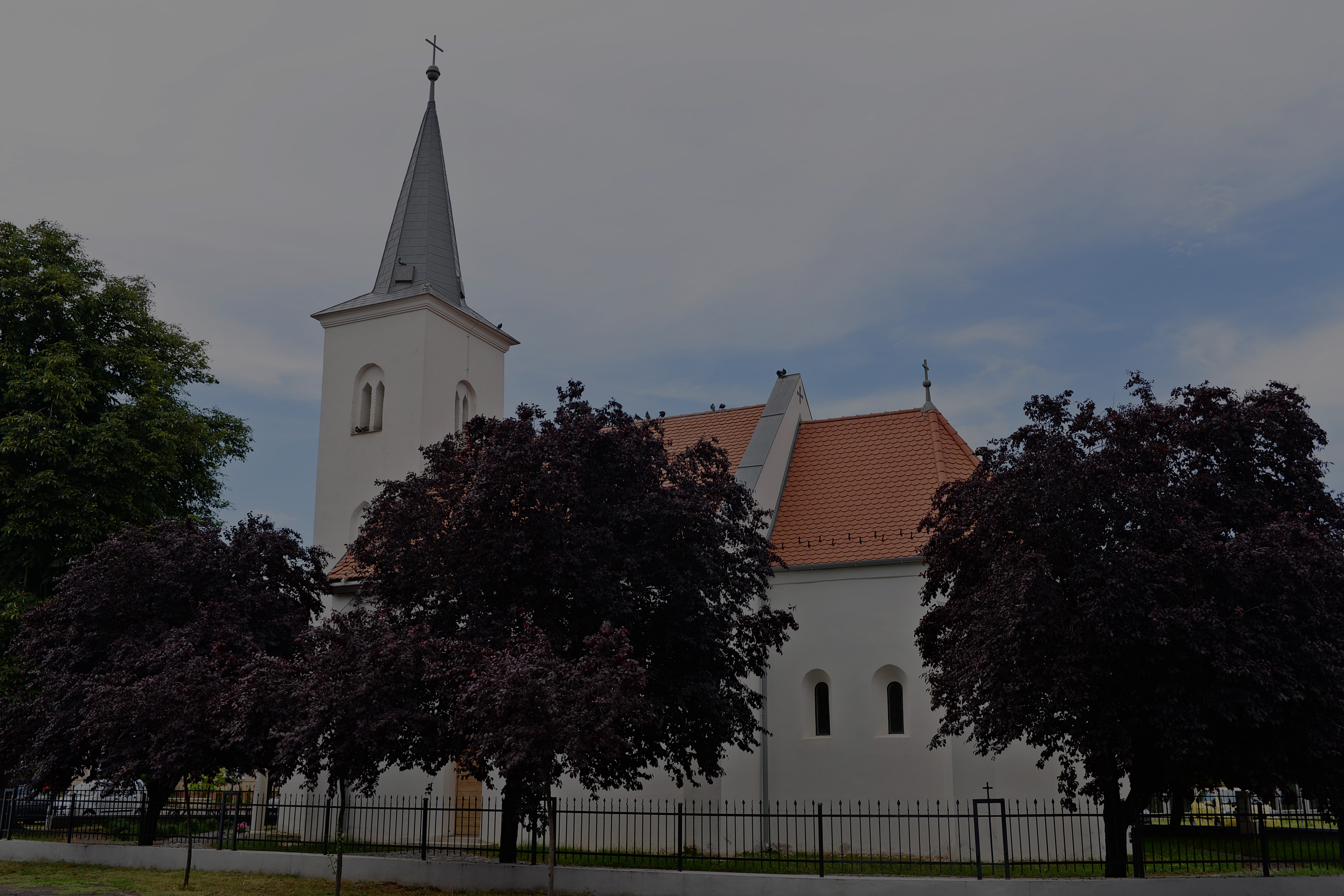 Galéria - 17254823841759